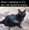 Gdy bardzo nakłamiesz w CV