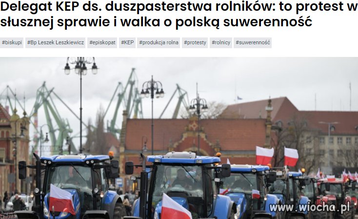 Do pisu i Putina zadowolonych z protestów