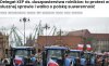Do pisu i Putina zadowolonych z protestów