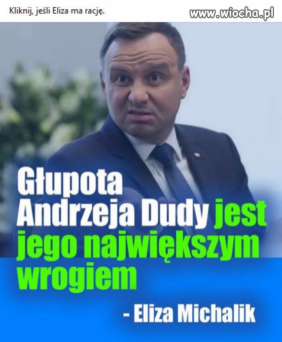 Brednie polityka PiS bezlitośnie zrecenzowała red. Michalik.