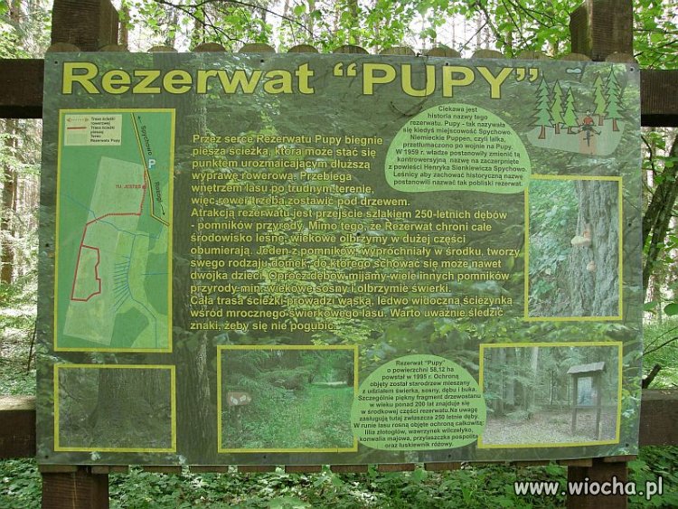 Piękna nasza