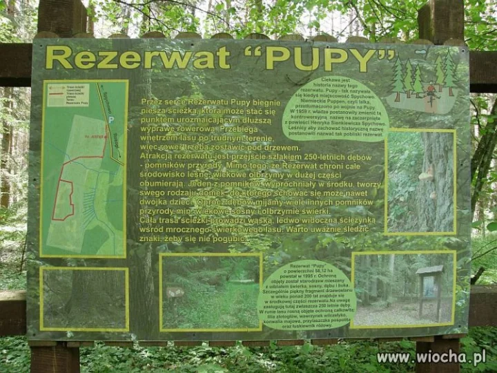 Piękna nasza