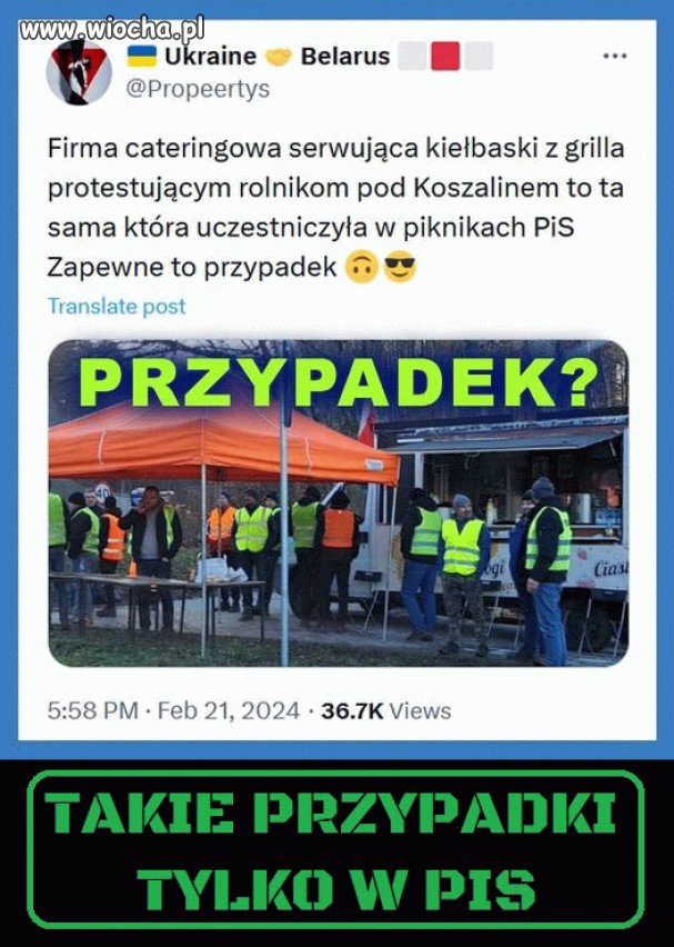 Pisowski przypadek