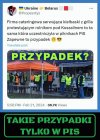 Pisowski przypadek
