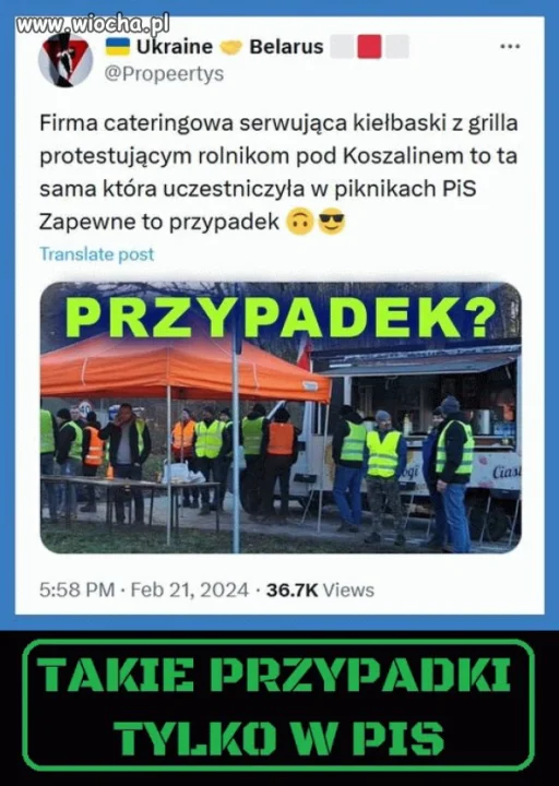 Pisowski przypadek