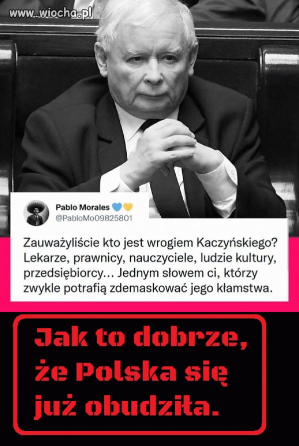 Taka prawda o Jarku Pieczarku