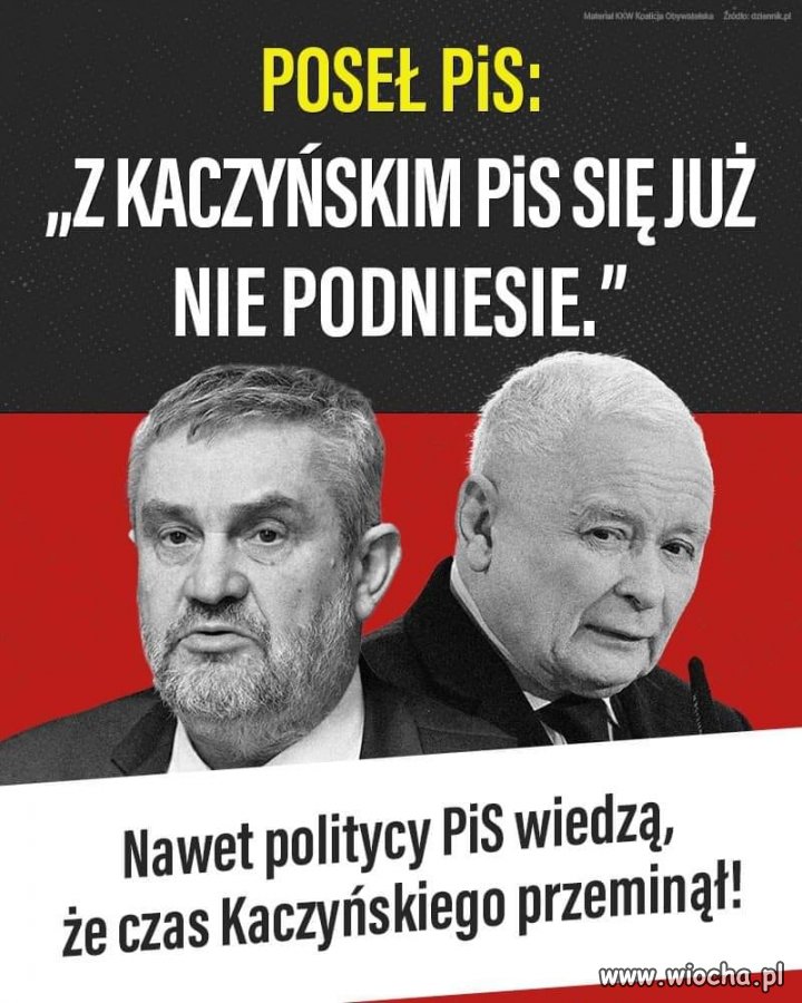 PiSowski poseł Ardanowski wie, co mówi