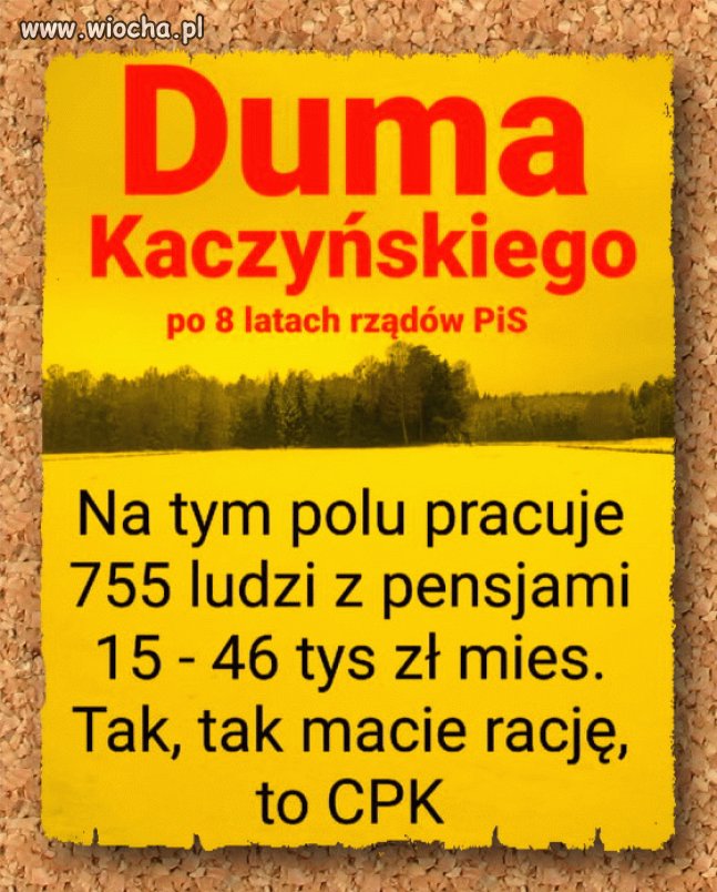 Jeden wielki przekręt