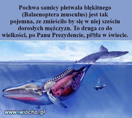 Ciekawostka naukowa.