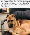 Ja i...