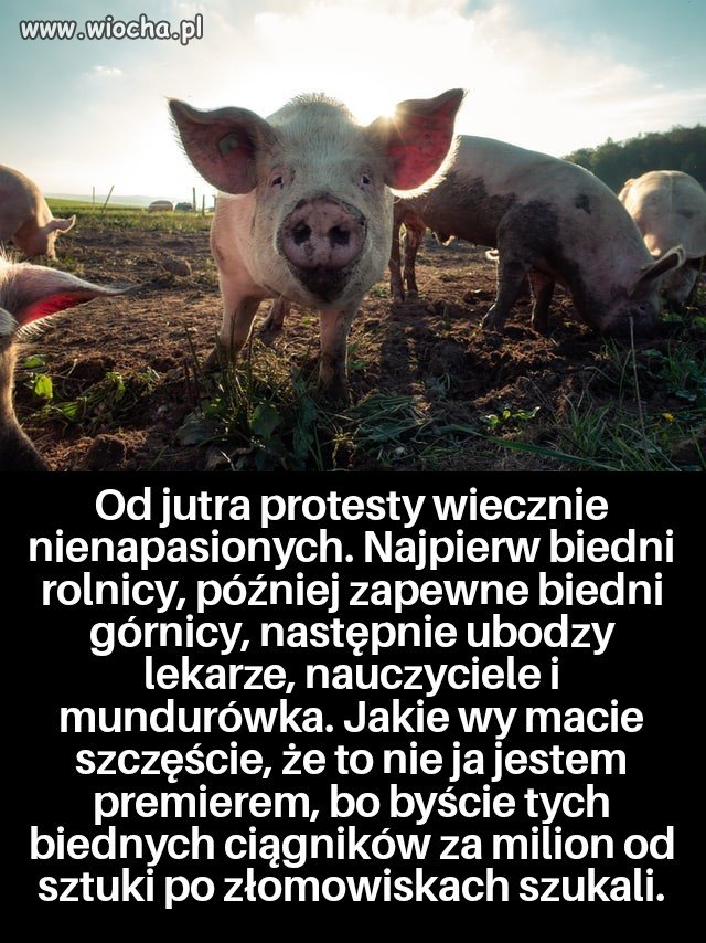 Qwiii mało, wiecznie mało!