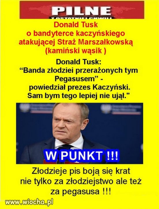 Ta "patriotyczna" od zawsze formacja, to moralne szambo.