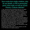 Media ujawniają, kim są liderzy protestu rolników.