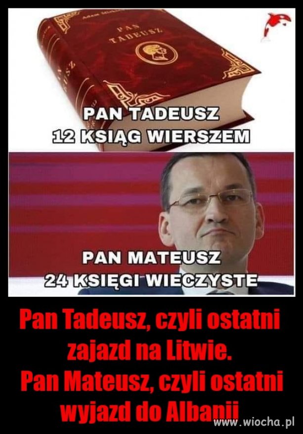 Podobieństwa i różnice. 