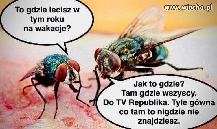 Powstają już pierwsze wakacyjne plany ...