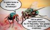 Powstają już pierwsze wakacyjne plany ...