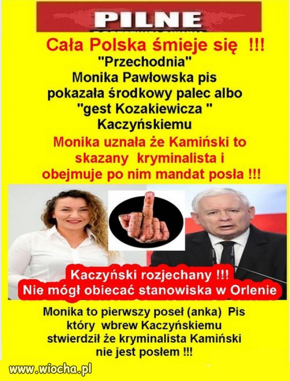 Pawłowska pis pokazała środkowy palec Kaczyńskiemu