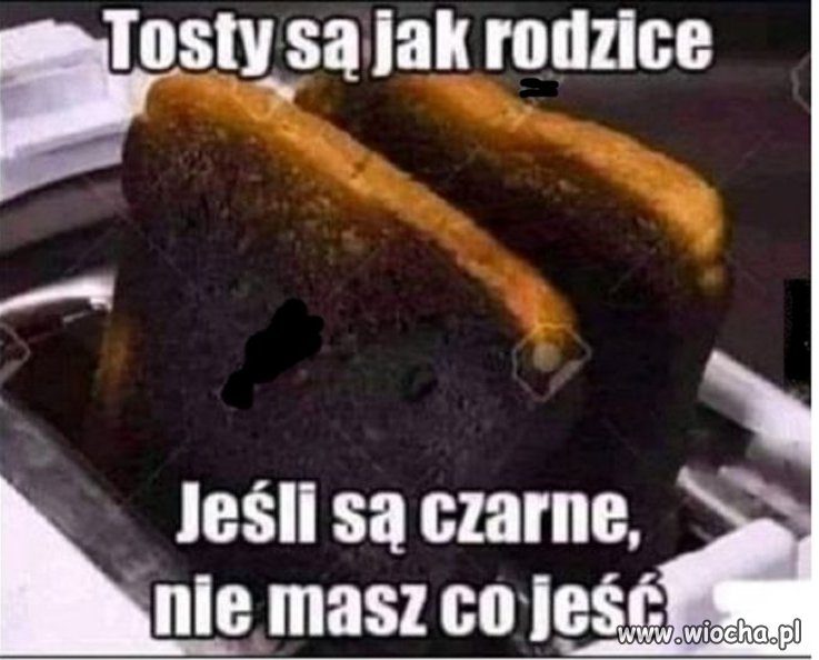 Coś w tym jest