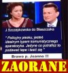 W samo sedno