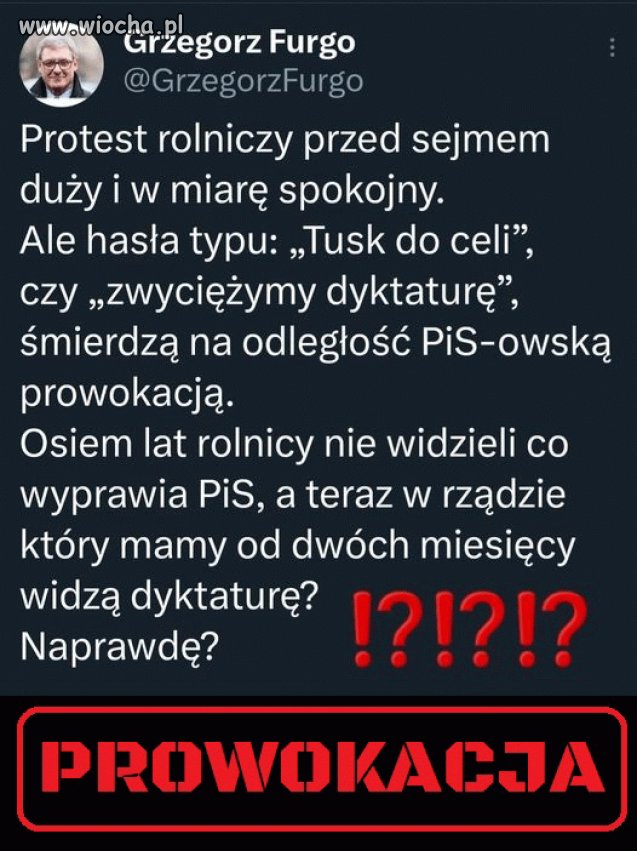 Coś w tym jest
