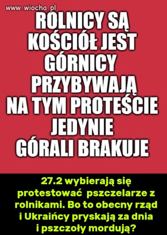 Czekaj, czekaj. Zaraz będą bo śniegu nie ma i hajs się nie zgadza