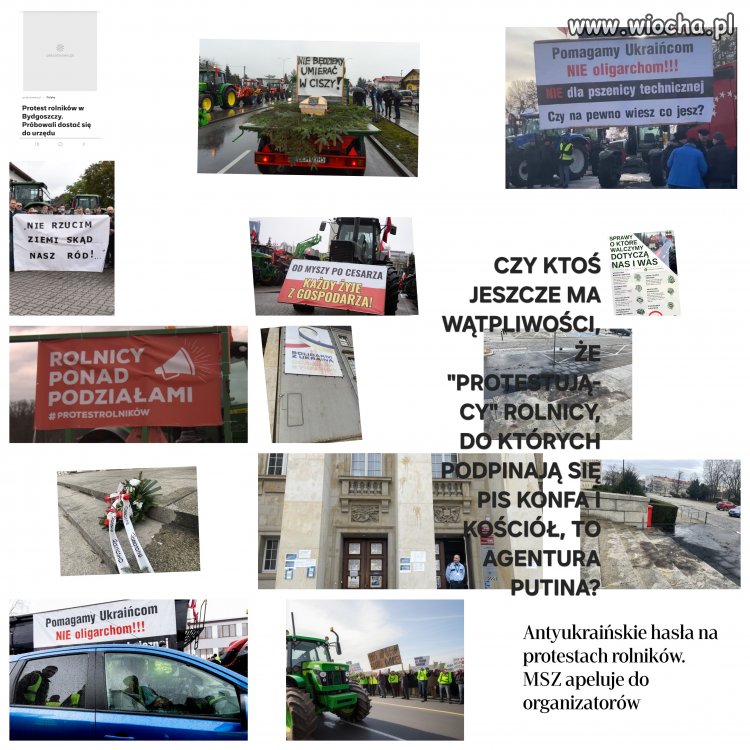 Konfederussia w koalicji z BS 