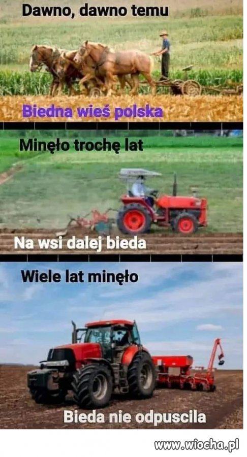 Najlepiej to patrzeć do czyjegoś potrfela 