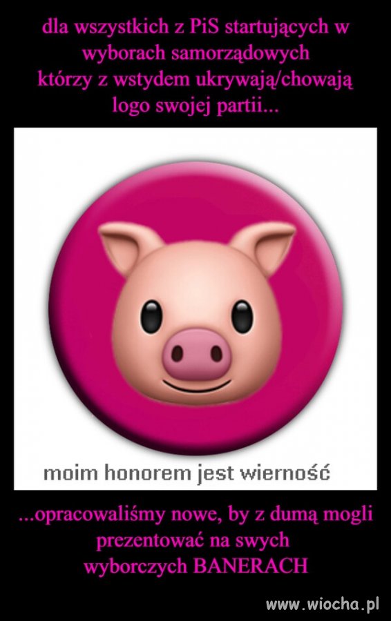 Nowe logo dla wszystkich 'eks-pisowców' walczących