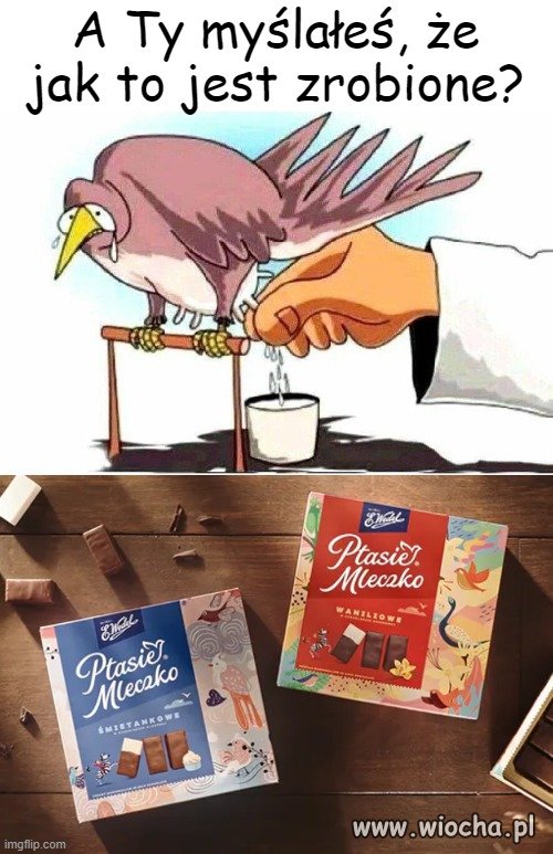 Warto wiedzieć,