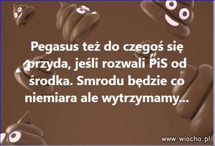 No to jedziemy z tym Pegasusem ...