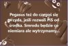 No to jedziemy z tym Pegasusem ...