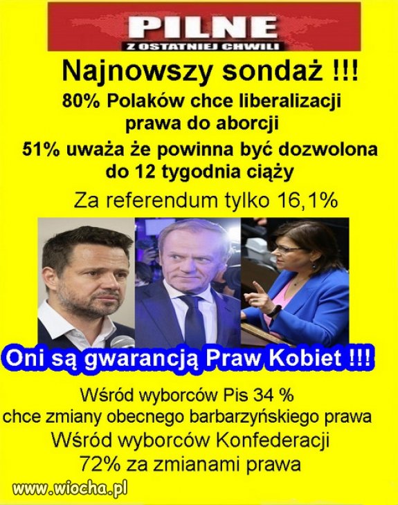 Co na to biskupi, co na to Godek z Kofederosji?