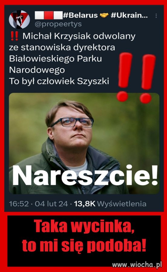 Szyszki teraz zbierać w lesie