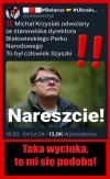 Szyszki teraz zbierać w lesie