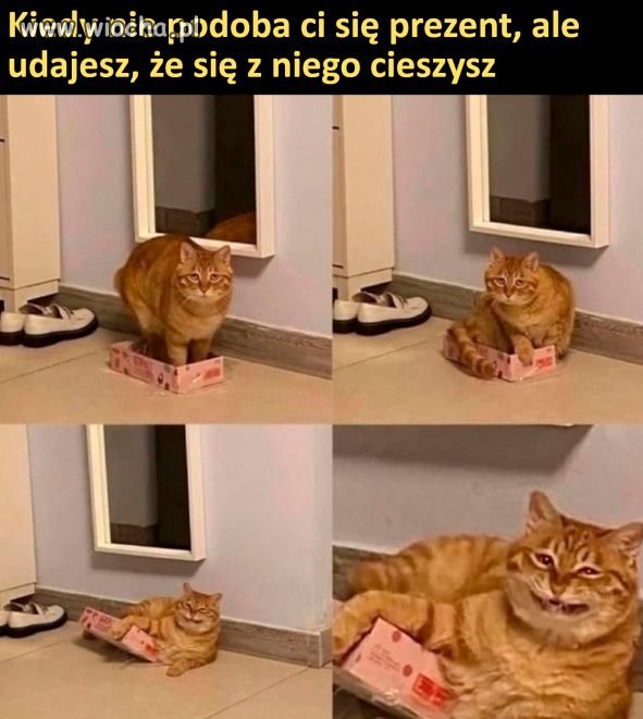PREZENT