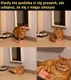 PREZENT
