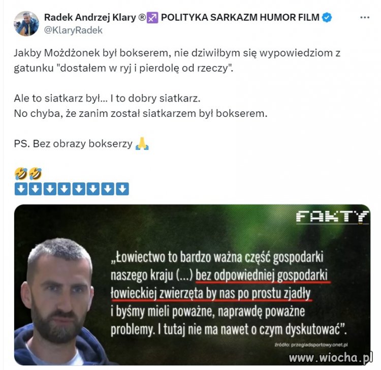 Nie obrażając bokserów