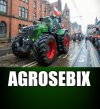 Seba i jego najładniejszy wół w oborze.
