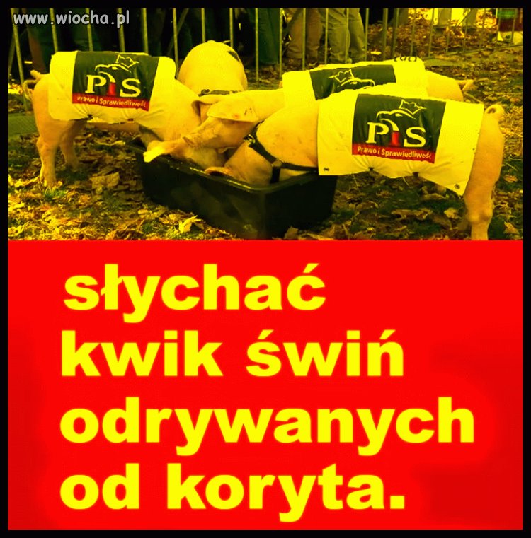 Znakomicie