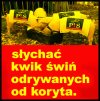 Znakomicie
