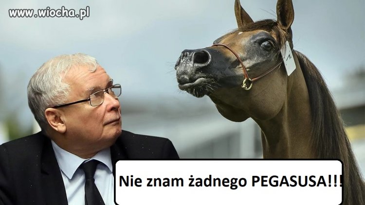 Kaczyński buduje swoją niepoczytalność