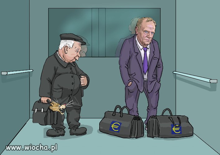 Zdziwienie wioskowego Tygryska i nie tylko ...