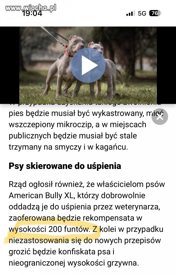 Brak wyobraźni właścicieli i urzędników .. 
