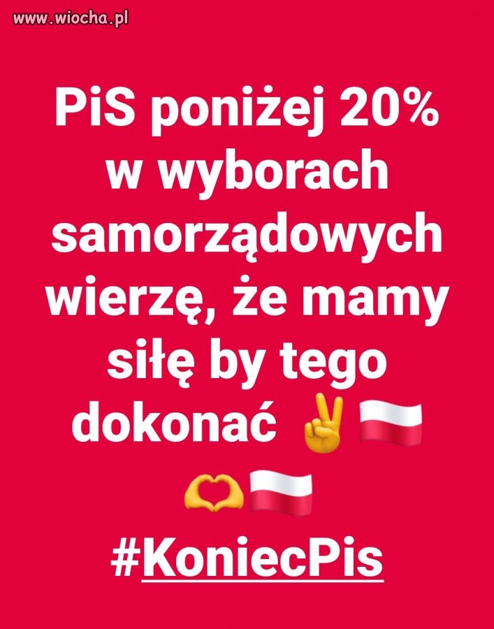 Muszą wylądować ścierwa na śmietniku 