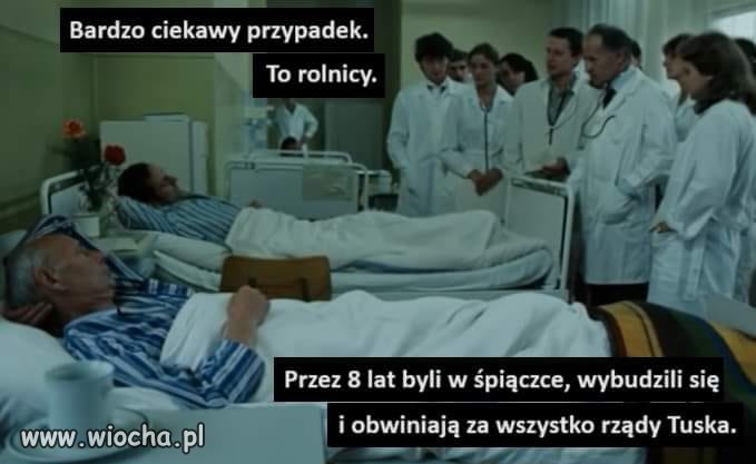 Przypadek