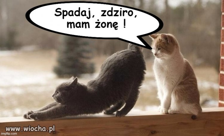 Z życia 