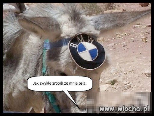 Green BMW 