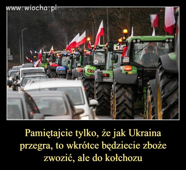 Bezmyślne ameby sterowane przez Putina i PiS ...