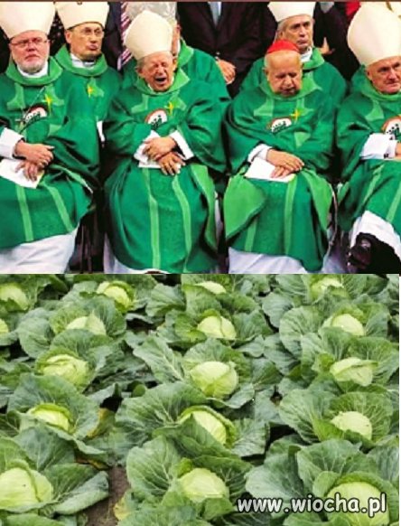   znajdź różnicę