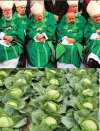   znajdź różnicę